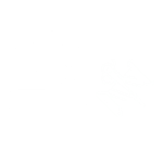 Sewing Workshops